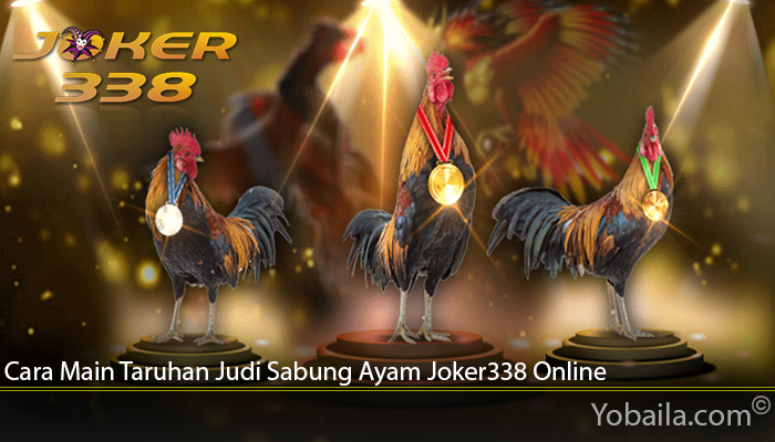 Cara Main Taruhan Judi Sabung Ayam Joker338 Online