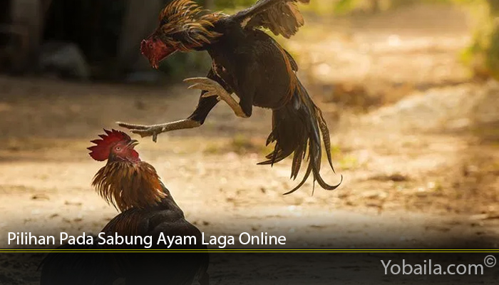 Pilihan Pada Sabung Ayam Laga Online