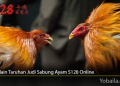 Cara Main Taruhan Judi Sabung Ayam S128 Online